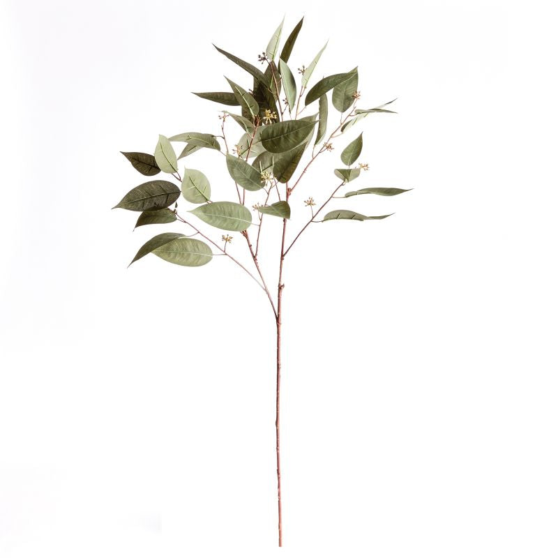 41" Eucalyptus Seed Stem