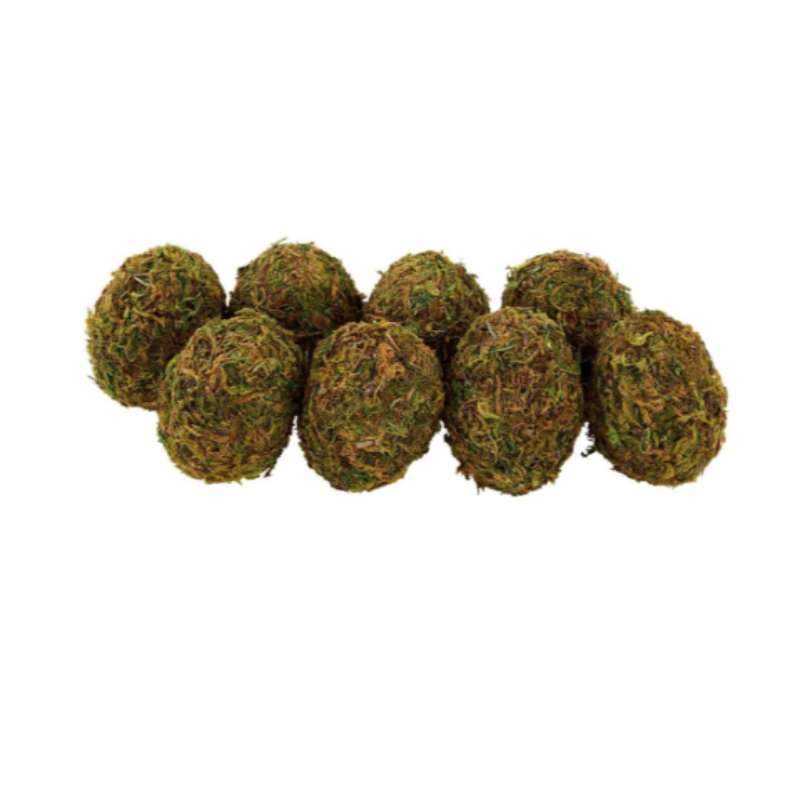 Moss Egg Filler (set of 8)