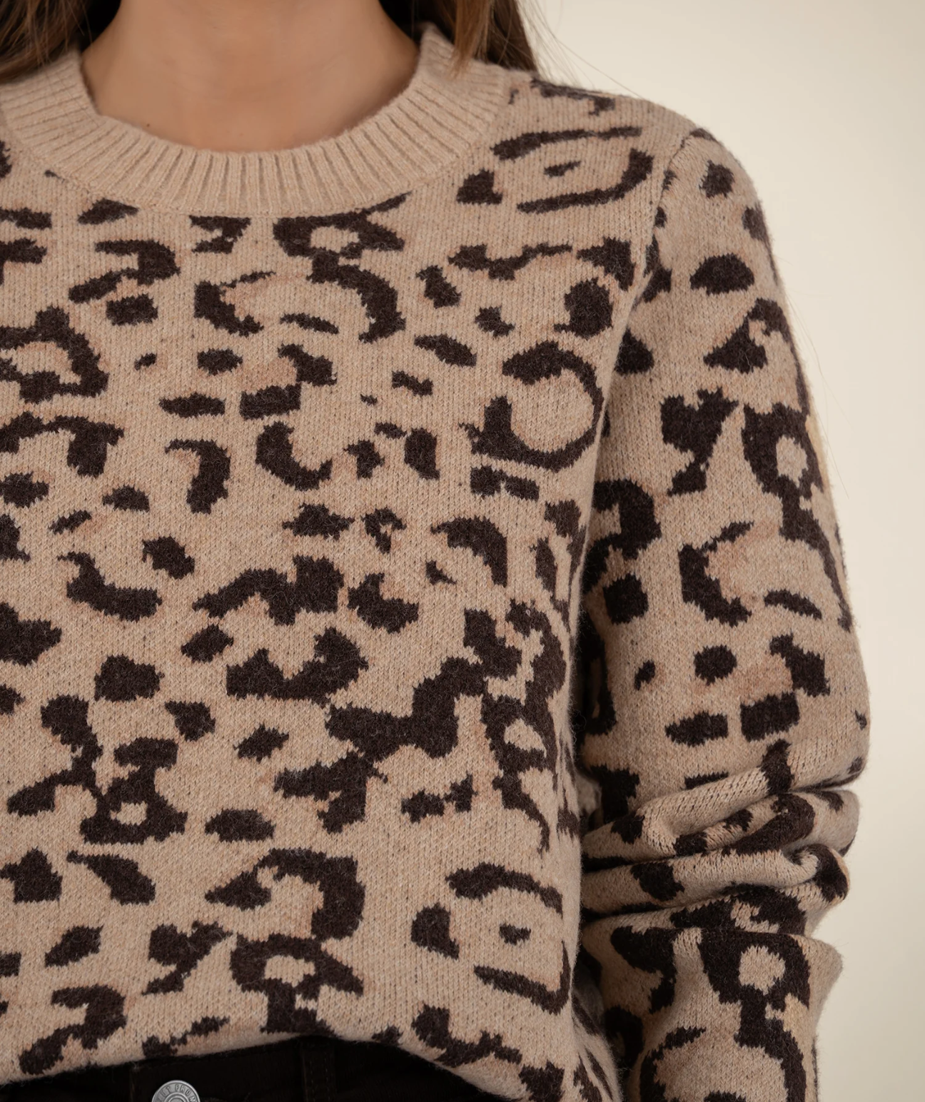 Gisela Animal Print Sweater-Brown