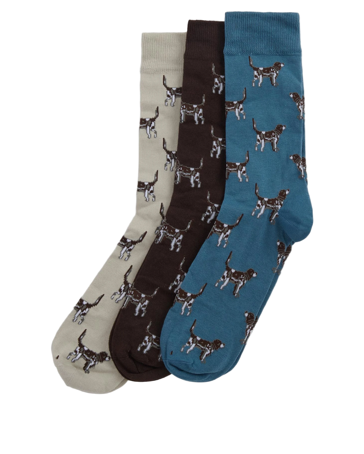 Pointer Dog Socks Gift Box