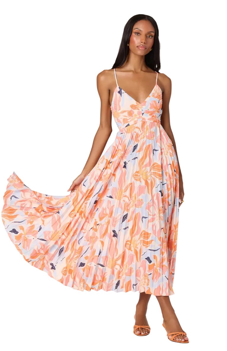 Blythe Dress-Orange Blue Floral