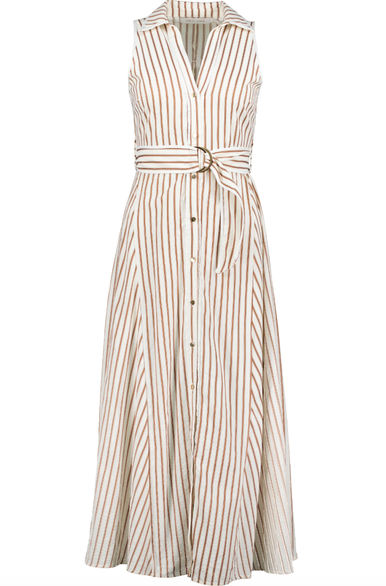 Verona Button Front Dress-Brown Stripe