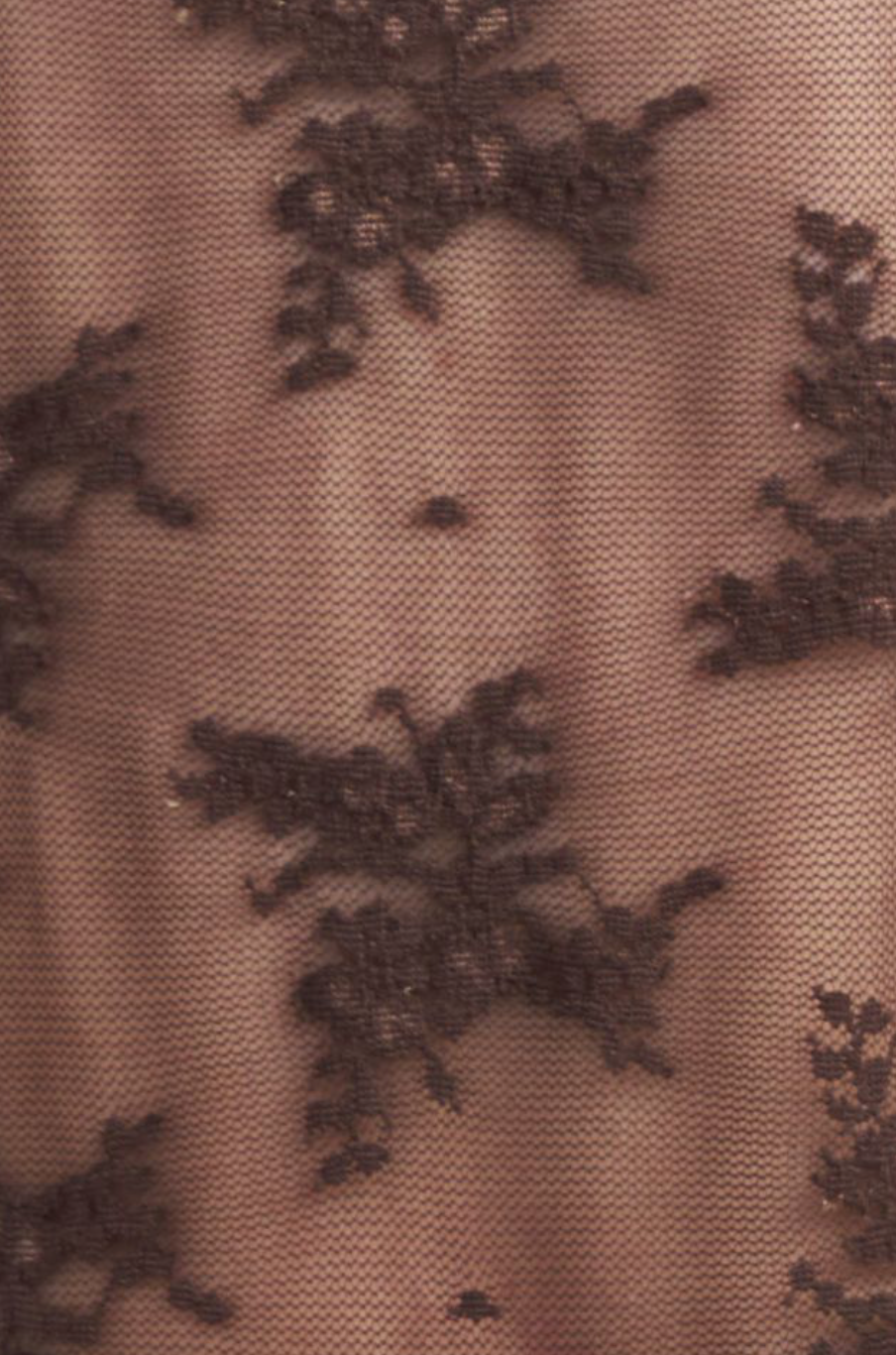 Sheer Floral Lace Top