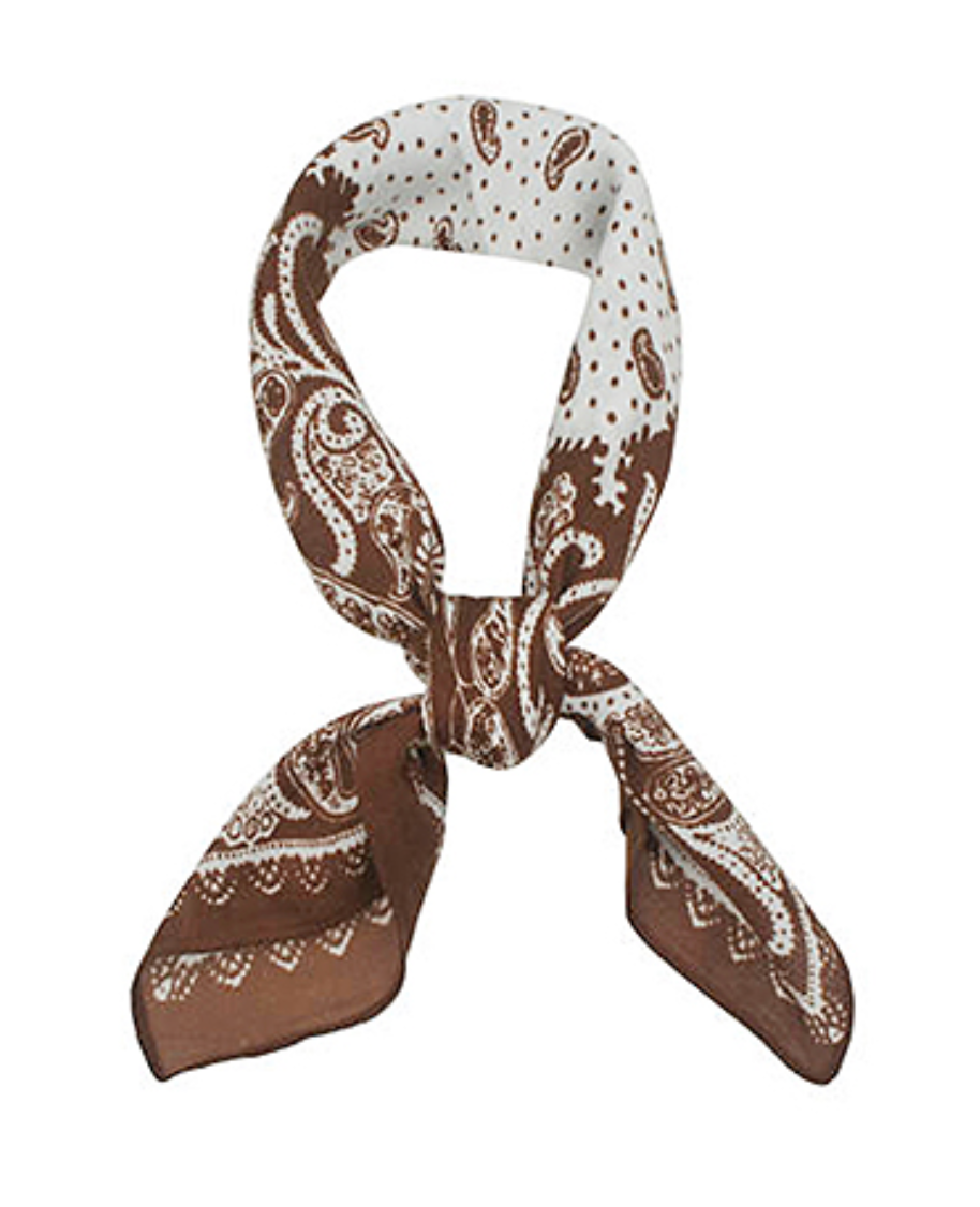 Paisley Print Scarf-Lt Brown