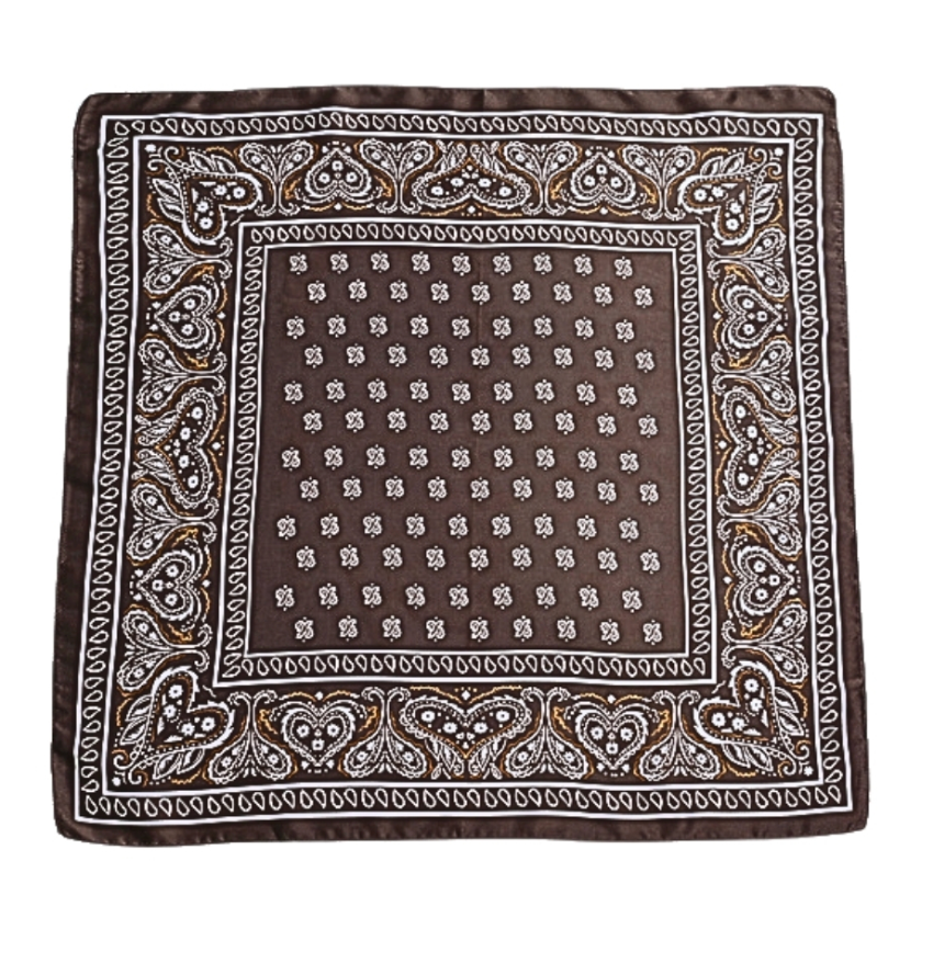 Paisley Print Scarf-Brown