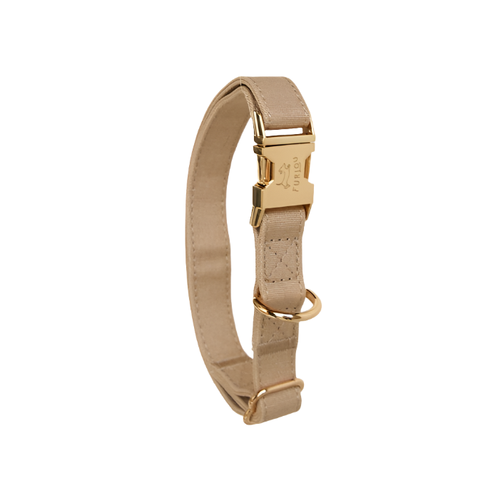 Tan Dog Collar