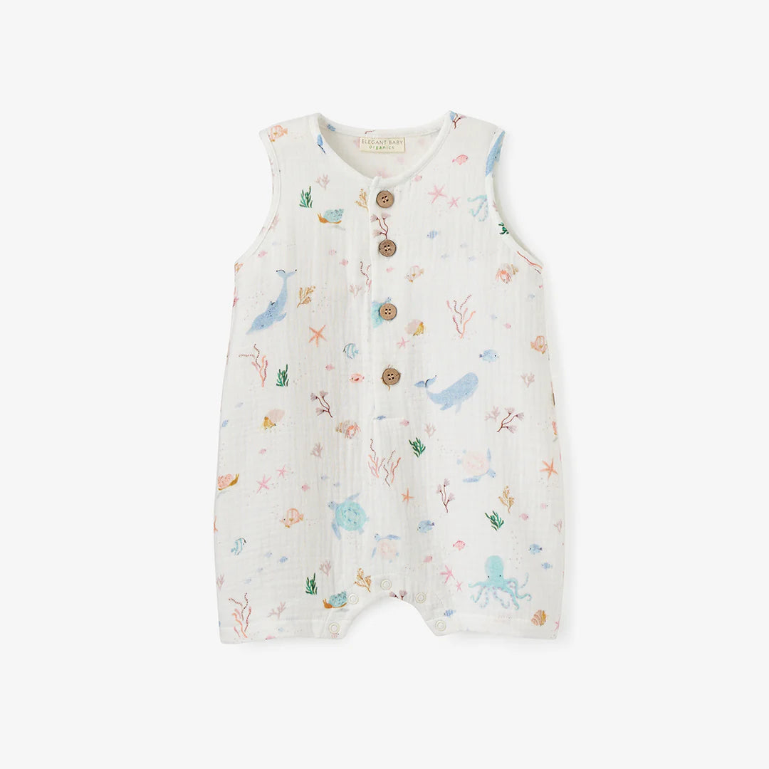 Ocean Adventure Shortall