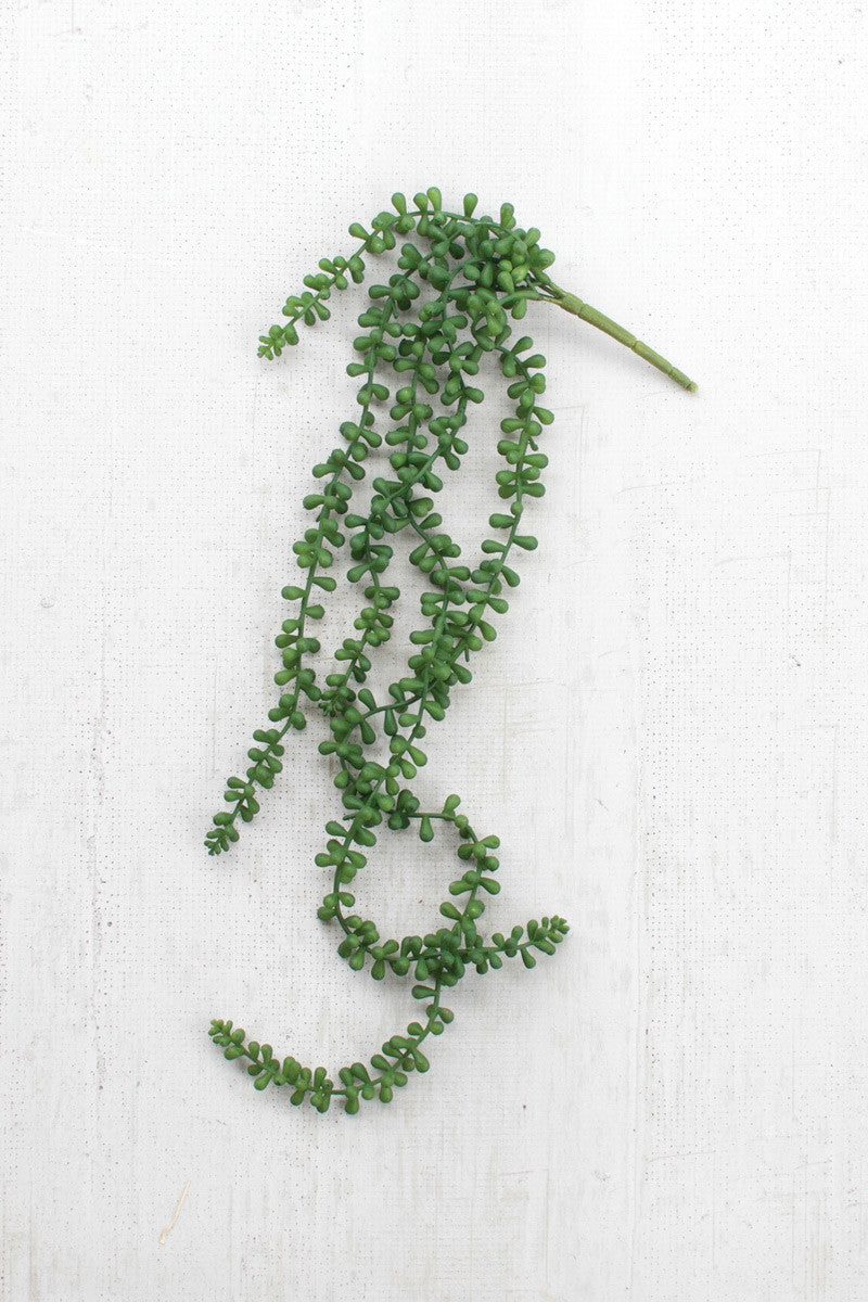 Faux Fern Succulent