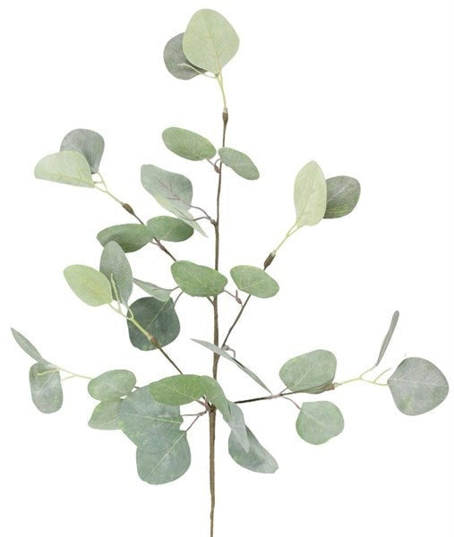 Eucalyptus Spray - 24"
