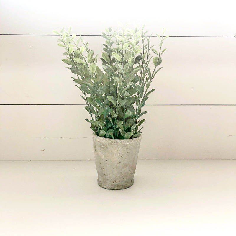 Faux Herbs in White Cement Pot