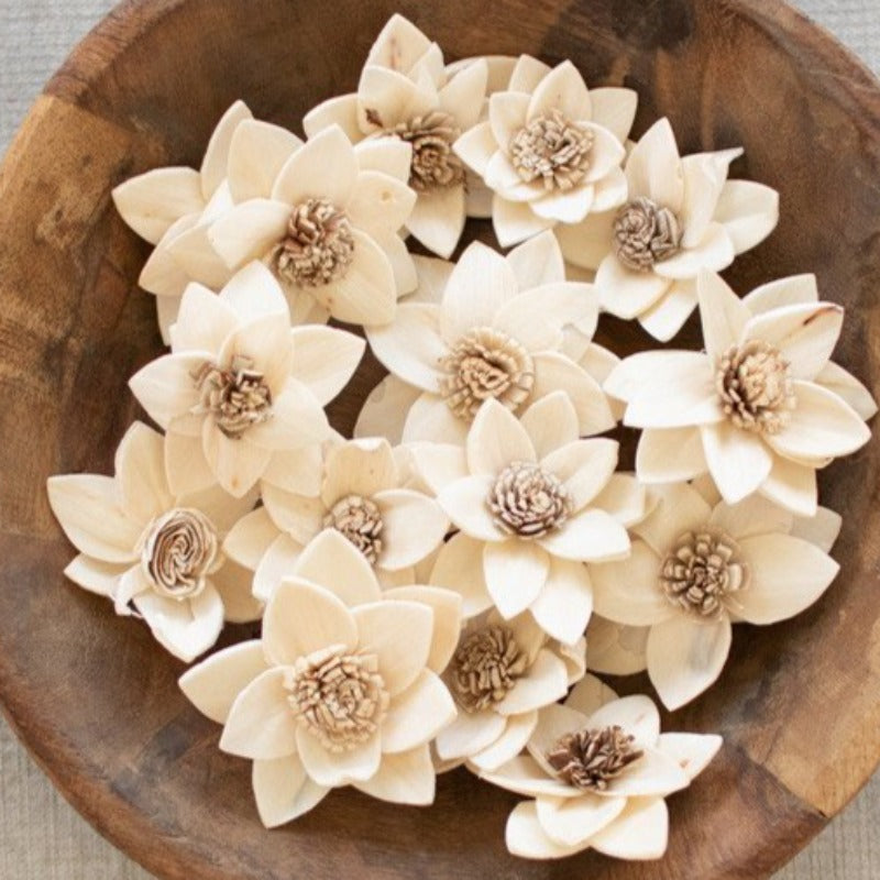 Ivory Dried Flowers (Bag of 16)