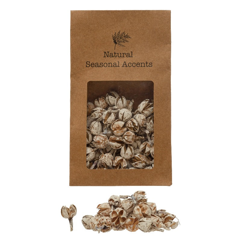 Natural Dried Pods in Bag