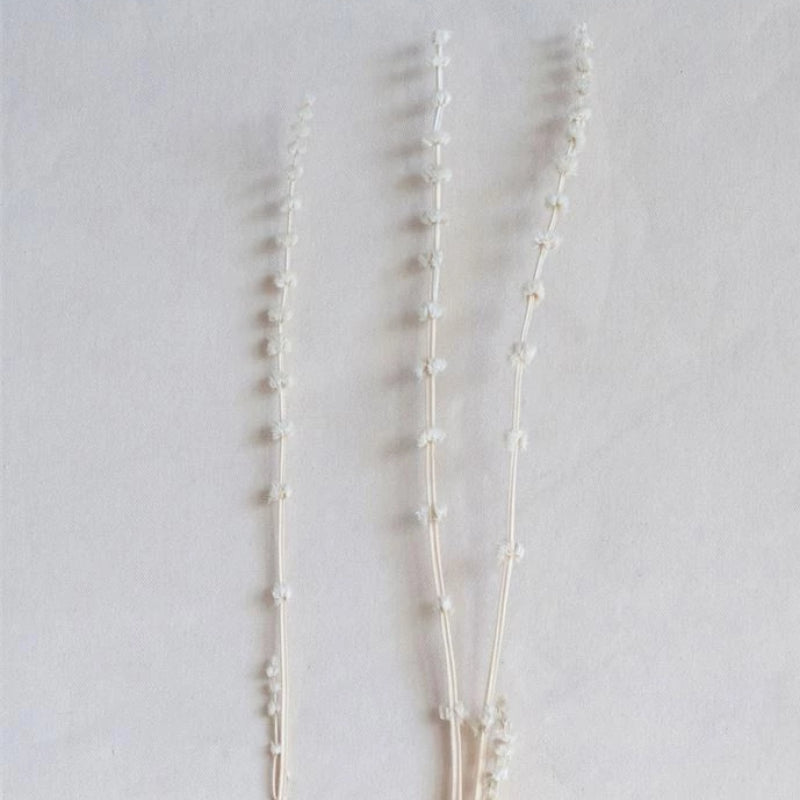 Lion's Tail Bunch