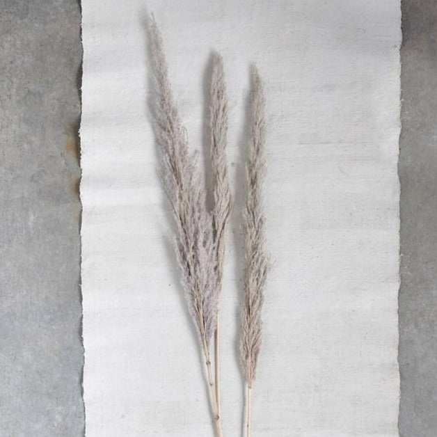 Grey Dried Pampas Grass - 43.25"