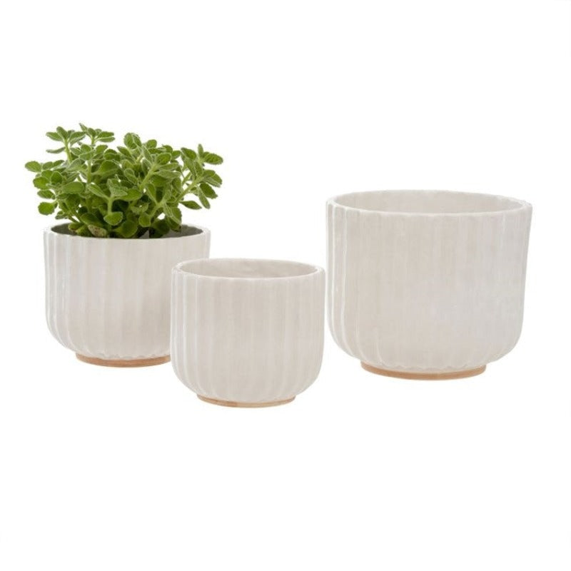 Palma Ceramic Planter (3 Sizes)