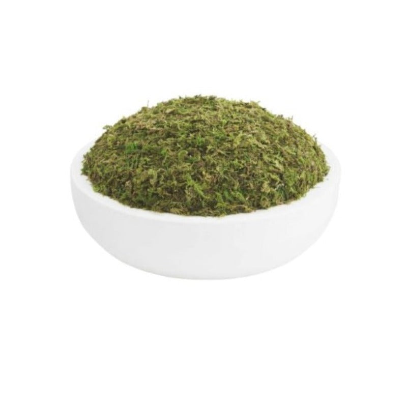 White Paulownia Moss Bowl