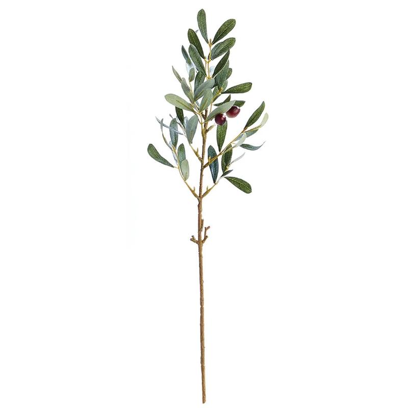 19.5" Olive Stem