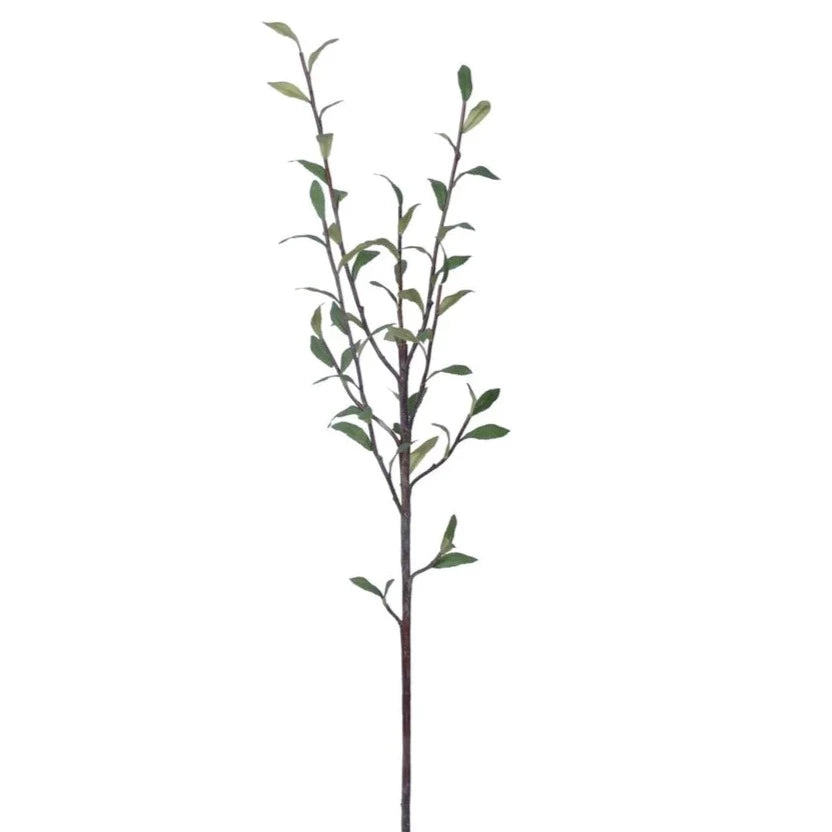 Salix Spray - 38"